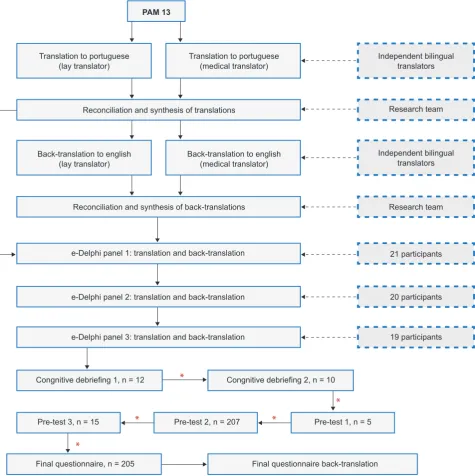 Figure 2 – Flow diagram of the translation, cultural adaptation and validation of the PAM13-P* review and modification by the research team