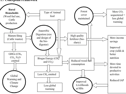Figure 1: Conceptual framework showing the relationships between biogas energy systems, livelihoods and the environment   