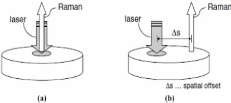 Figure 1. Schematic diagram for (a) backscattering Raman spectroscopy and (b) spatially offset Raman spectroscopy