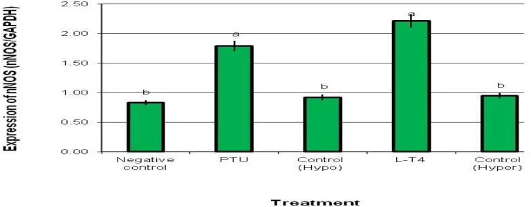 Figure (1):  Expression of nNOS mRNA in brain tissues of male rats treated with PTU and L-T4 and analyzed by the semi-quantitative Real Time-PCR