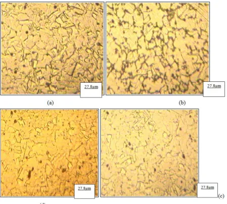 Fig. 6[d].  