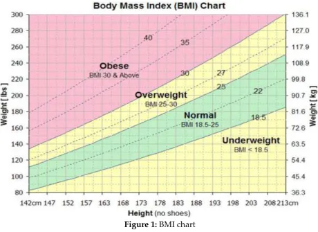 Figure 1: BMI chart 