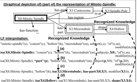 Figure 1: The path found through the search space for an interpretation of the example question