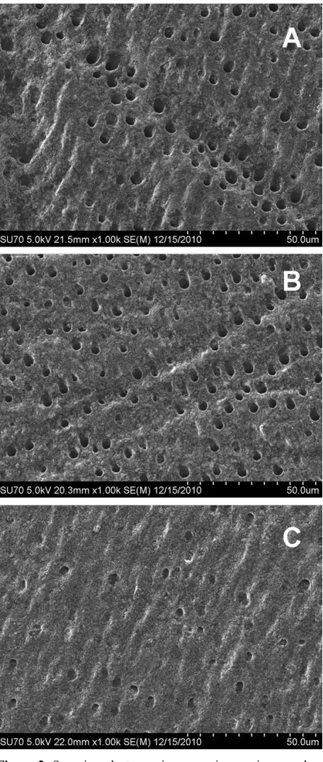 Figure 2. Scanning electron microscope images in secondary electron mode display surface topography obtained with the different grits of SiC abrasive paper