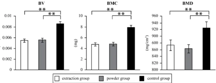 Figure 3. Three-dimensional micro-CT images. The extraction group and the powder group showed smaller mandibular condyle sizes than the control group