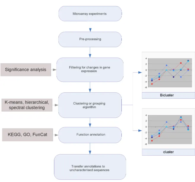Figure 1.10: Workflow diagram of unsupervised methods for annotating functions from microarray data.