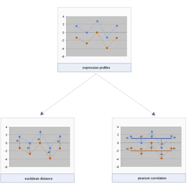 Figure 1.11: Different measures of similarity for expression behaviour across experimental samples