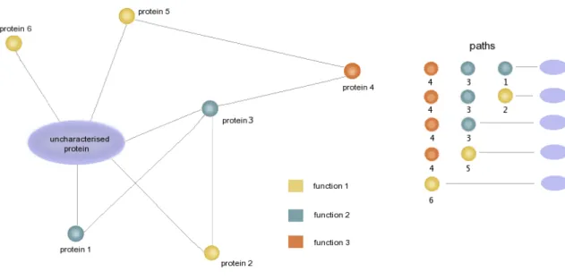 Figure 1.12: Hypothetical protein interaction showing all possible paths to the uncharacterised protein.