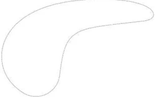 Fig. 2  Section data point measured by CMM 