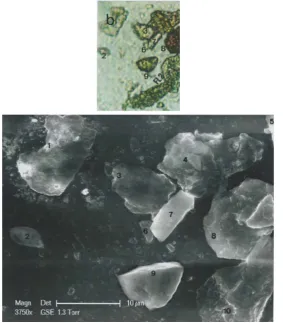 Figure 2. Photographs of the upper left part of the B area of the triangle. of linen fiber observed on the triangle