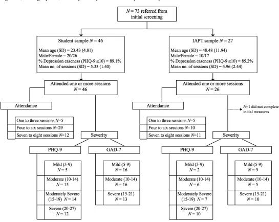 Figure 1; demographics, severity and uptake of BAG by sub-sample 