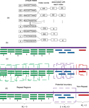 Figure 1. The graphic illustration of four steps of HashRepAligner. (a) Hash index construction