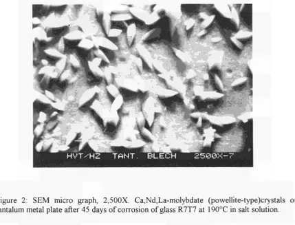 Figure 3: EDX spectrum of the layer of alumino-magnesium-silicate formed on a Ta-metal plate in a 90 day glass corrosion test, compared with the EDX spectrum of the surface alteration layer on the glass measured in a similar experiment 