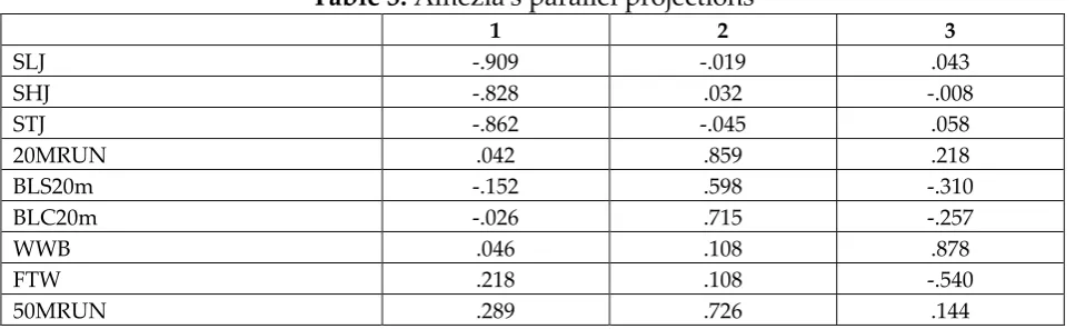 Table 3: Amezia's parallel projections 