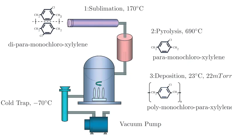 Figure 3.3: Di-para-xylylene Dimer