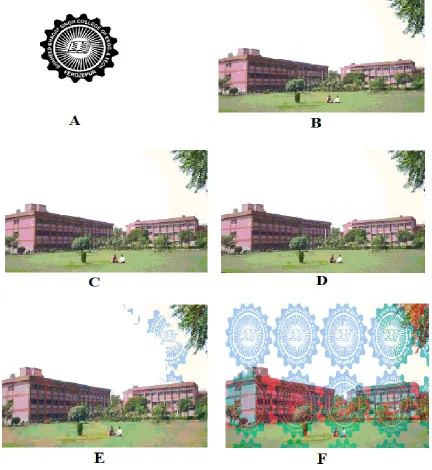 Fig. (A) Watermark Logo to be inserted. (B) Original image in which watermark is to be embedded