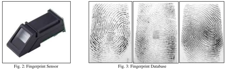 Fig. 1(a): Inked Footprint   