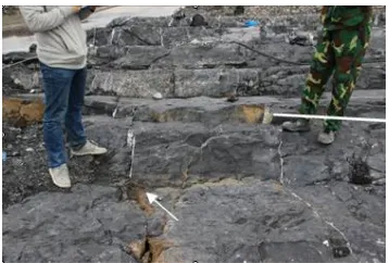 Figure 2. Joint fissures on site