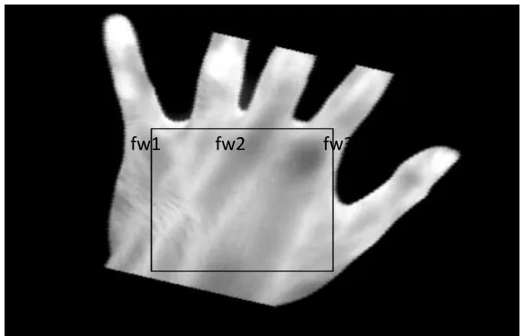 Fig 8. ROI Extraction from the image  
