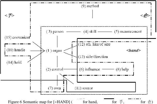 Figure 6 Semantic map for [+HAND] (     for hand,       for 手,        for 손)  