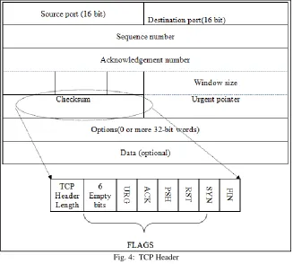 Fig. 4:  TCP Header 