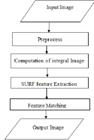 Figure 2: Block diagram showing the Computational steps for Surf Feature extraction. 