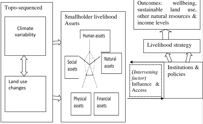 Figure 1: Sustainable Livelihood Framework (Modified from Ashley & Carney, 1999)   