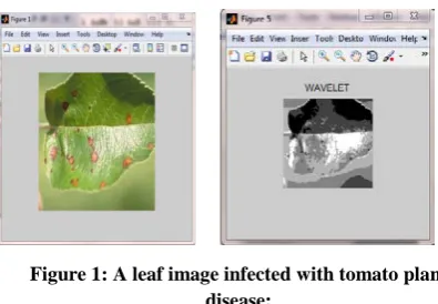 Figure 1: A leaf image infected with tomato plant disease; 
