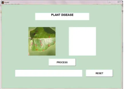 Figure 7: Full screen result of diseased tomato leaf. 