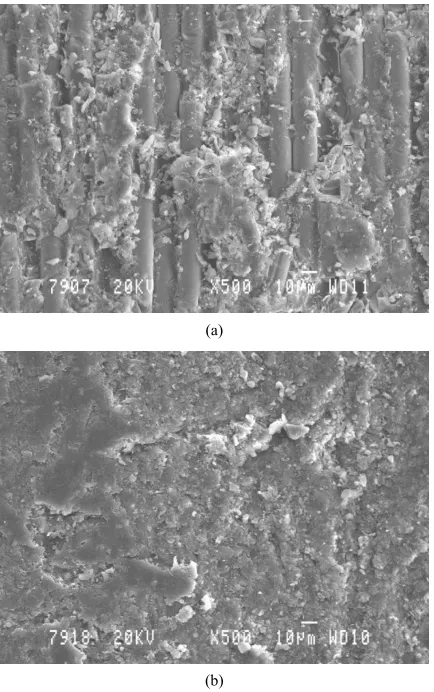 Figure 6. SEM micrographs of 10 wt% Al2composite using (a) 320 and (b) 600 grit SiC papers.O3 filled G-E  