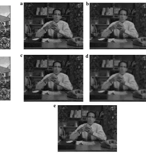 Fig. 7 . Noisy frame of Tennis Player (10-th frame).  