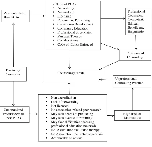 Figure 2.1 : Conceptual Framework (As developed by the researcher) 