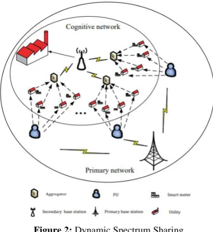 Figure 2: Dynamic Spectrum Sharing 