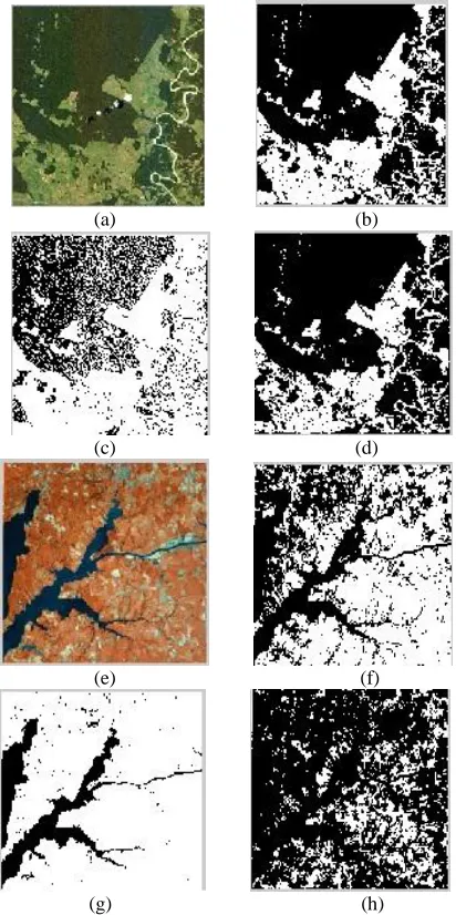 Fig. 3. a. Original Image 1, b. Cluster Index 1, c. Cluster Index 2, Cluster Index 3, e