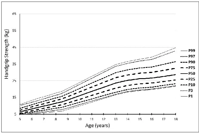 Table 8: Percentiles for the 20 m shuttle run test (VO2max ml/kg/min) in boys 