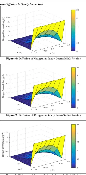Figure 6: Diffusion of Oxygen in Sandy Loam Soil(2 Weeks)  
