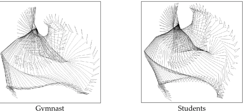 Figure 2: Kinogram from 2D analysis of glide kip 