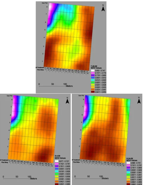 Figure 6. ArcView maps of canopy NDVI at the early, mid, and late bloom stages in the N experiment at Gibson in 2009