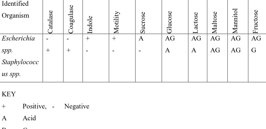 TABLE 3: CULTURAL CHARACTERISTICS AND GRAM REACTION FOR BACTERIAL IDENTIFICATION. 