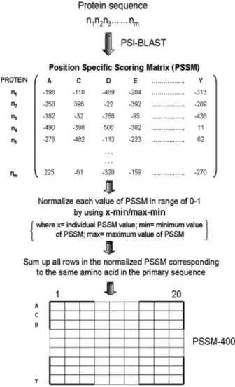 Figure 1. Schematic representation of algorithm used to convert 21*N dimensional PSSM matrix into PSSM-400 input pattern for SVM.