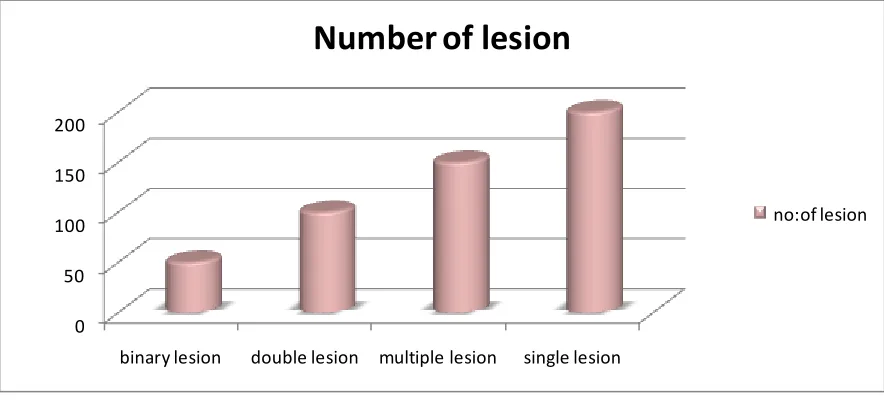Figure 4 Number of lesion in leishmaniasis patients. 