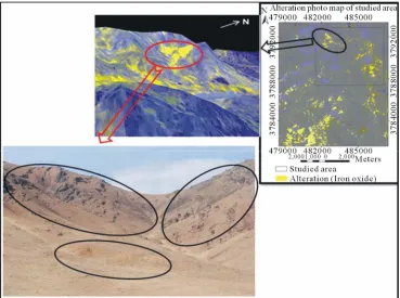 Figure 3. 2 and 3 dimension processing image with check field of iron oxide zones. 