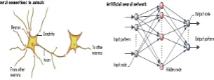 Fig. 5-  Neural Network 