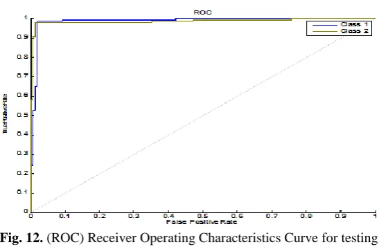Fig. 12. (ROC) Receiver Operating Characteristics Curve for testing  