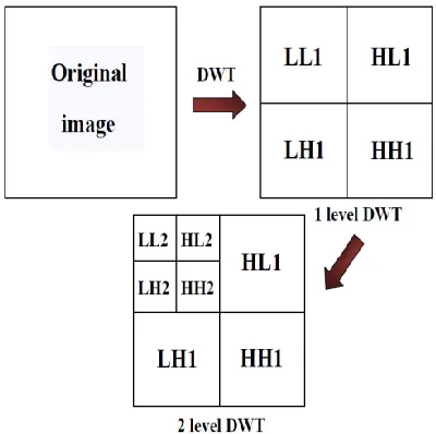 Fig. 1 Frequency distribution of DWT  