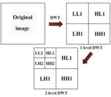 Fig. 5  Frequency distribution of DWT 