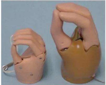 Figure 2.  Mech Hands (Technologies, Liberating, 2012) 