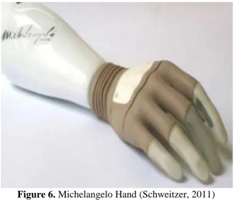 Figure 6. Michelangelo Hand (Schweitzer, 2011) 