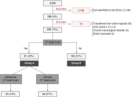 Figure 1 – Group of patients and study groups. In total, 3,393 patients were admitted to the paediatric emergency department over the study period diagnosed with unspecified traumatic brain injury.