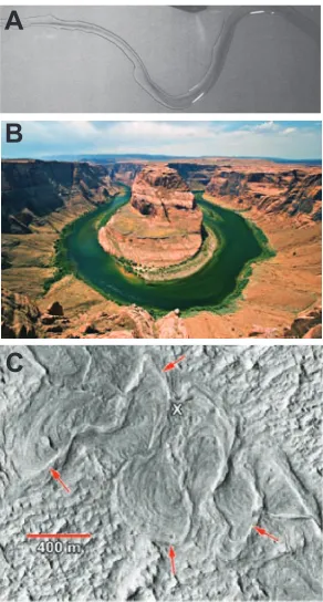 Figure 1. Meanders in different forms. (A) Water flowing over a glass pane, from Nakagawa and Scott [1984]